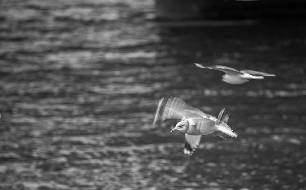 Фотография автора Aлексей Игнатьев