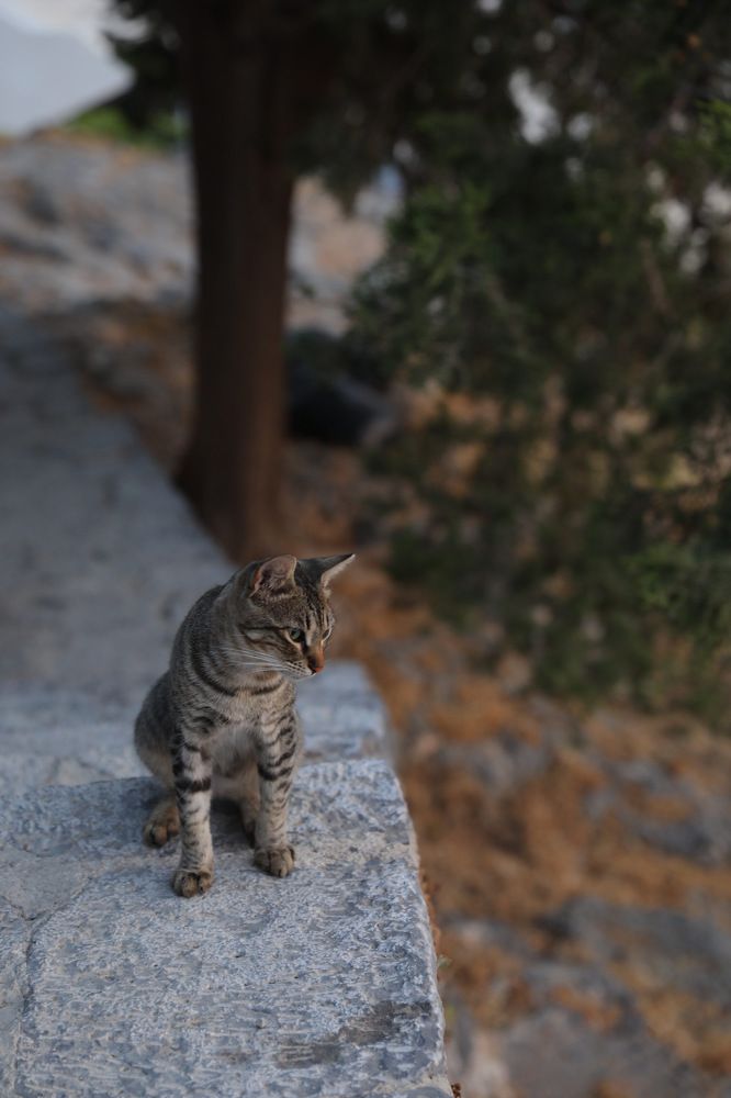 Photograph by Мария Kокоревич