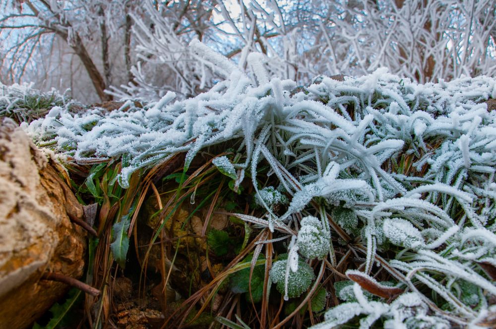Photograph by Сильва Татьяна