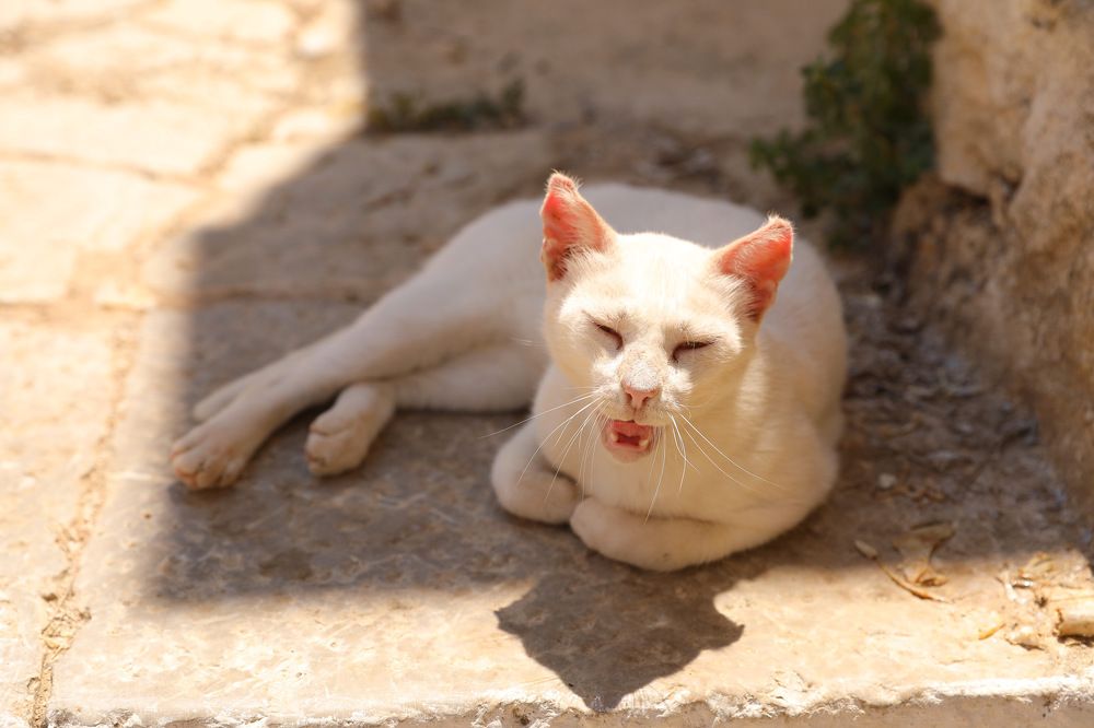 Photograph by Мария Kокоревич