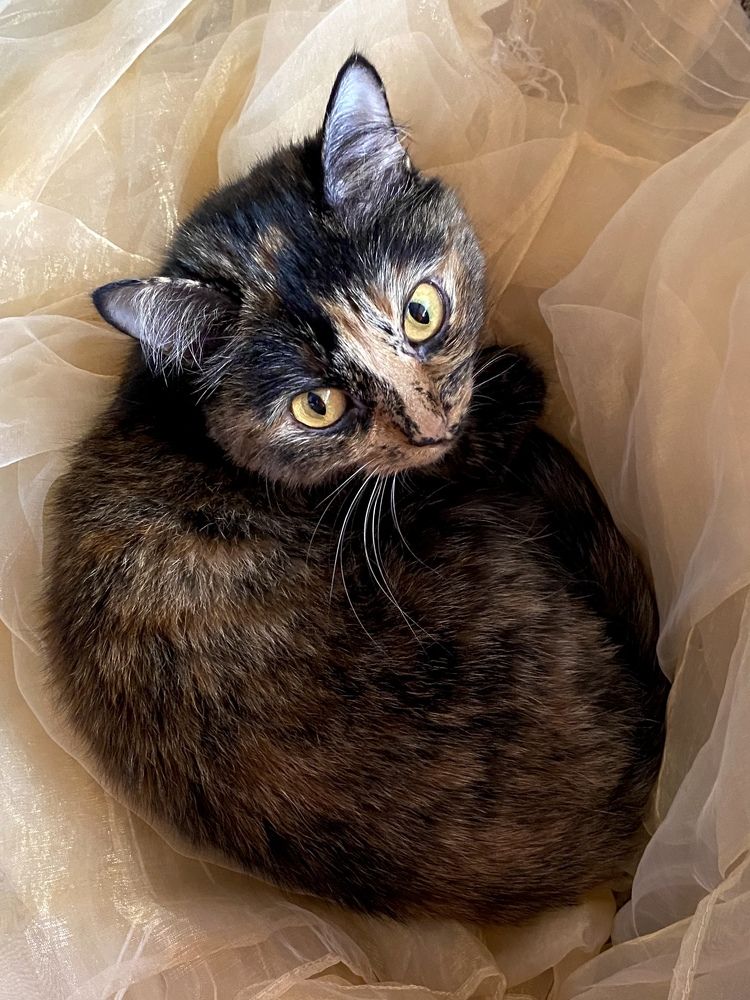 Photograph by Алиса Лукина