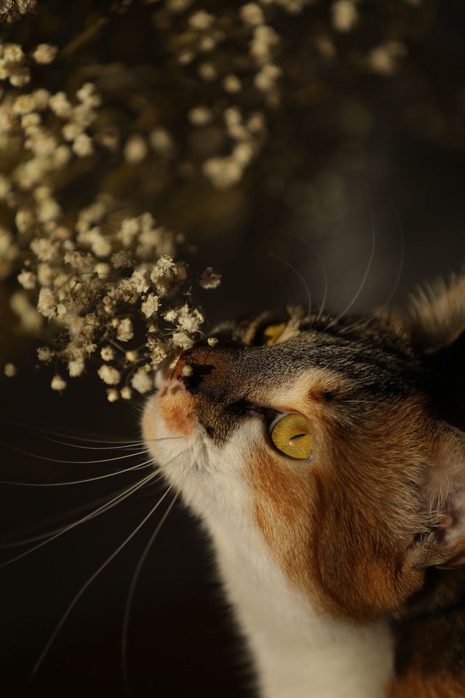 Photograph by Мария Kокоревич