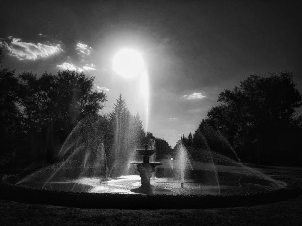 Photograph by Алина Харламова