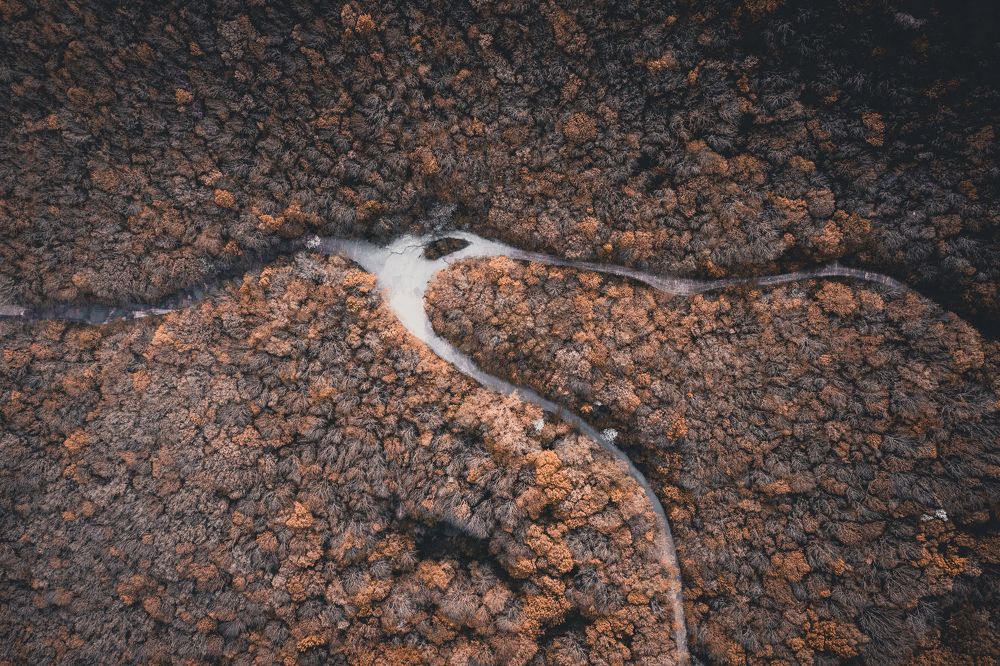 Photograph by Alexey Nikitin