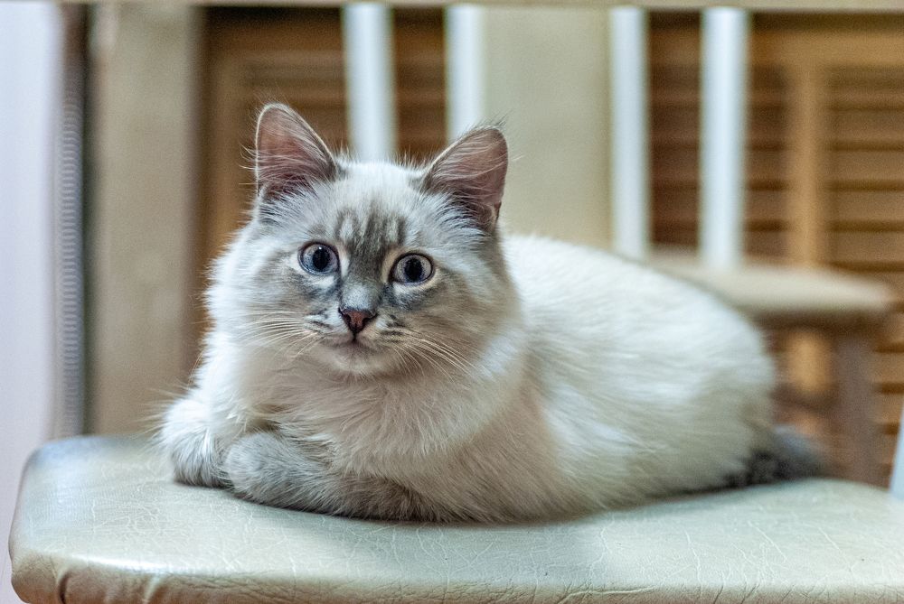 Photograph by Денис Кичев