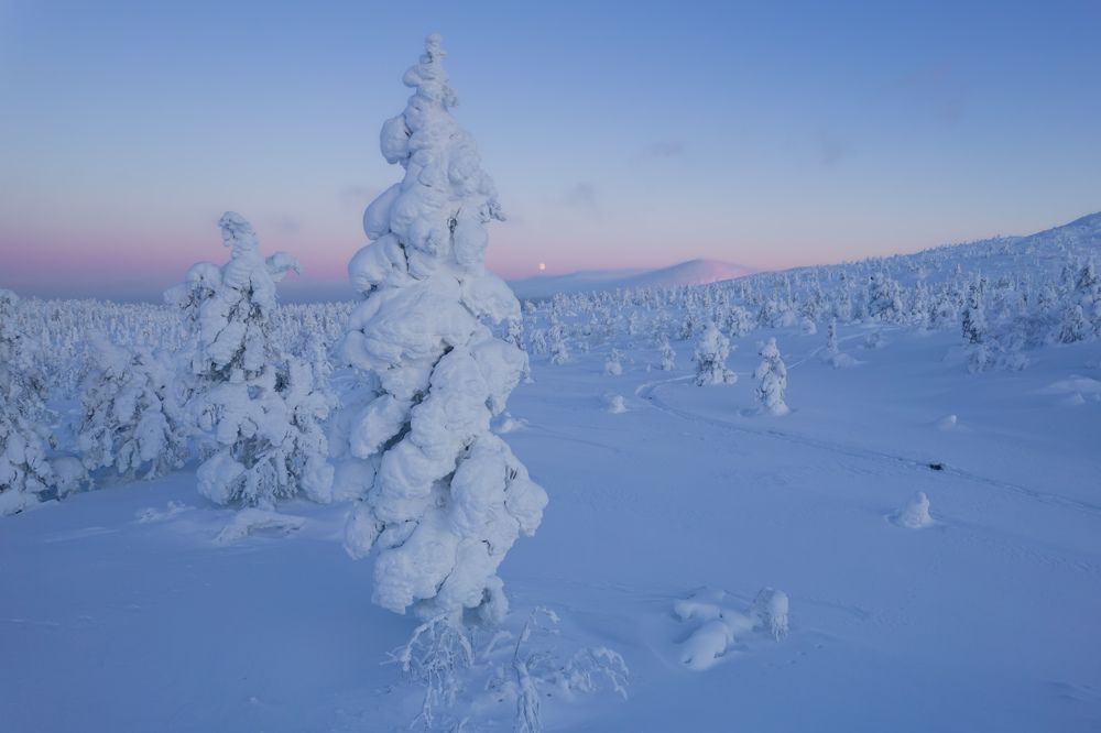 Photograph by Дмитрий Геращенко