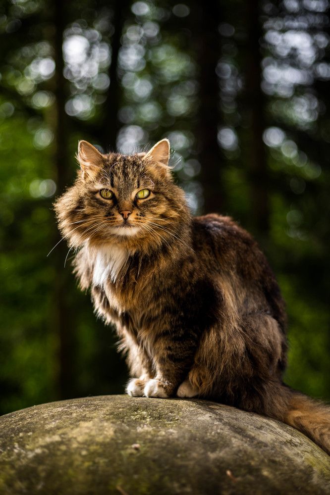 Photograph by Алан Гасымов