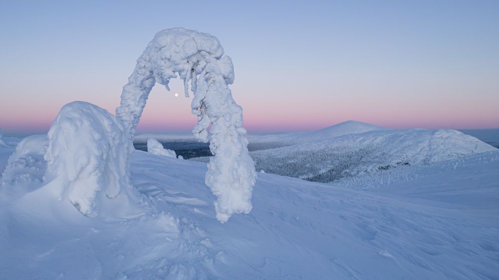 Photograph by Дмитрий Геращенко
