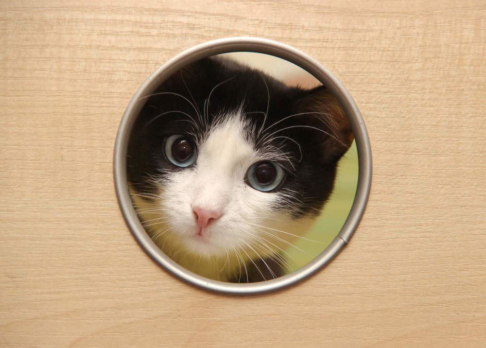 Photograph by Алина