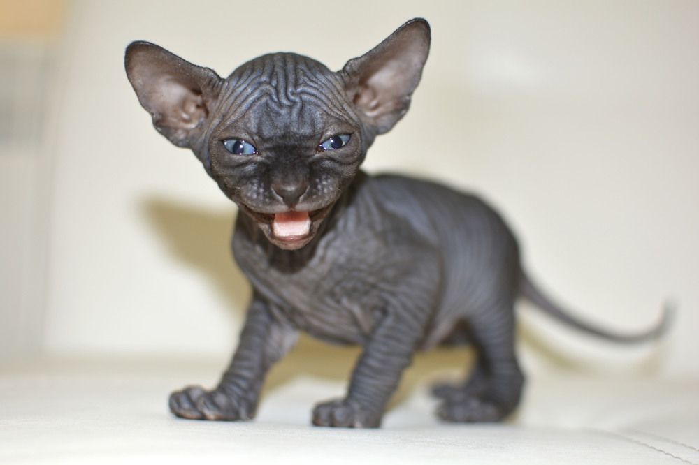 Photograph by Natalia Rassokhina