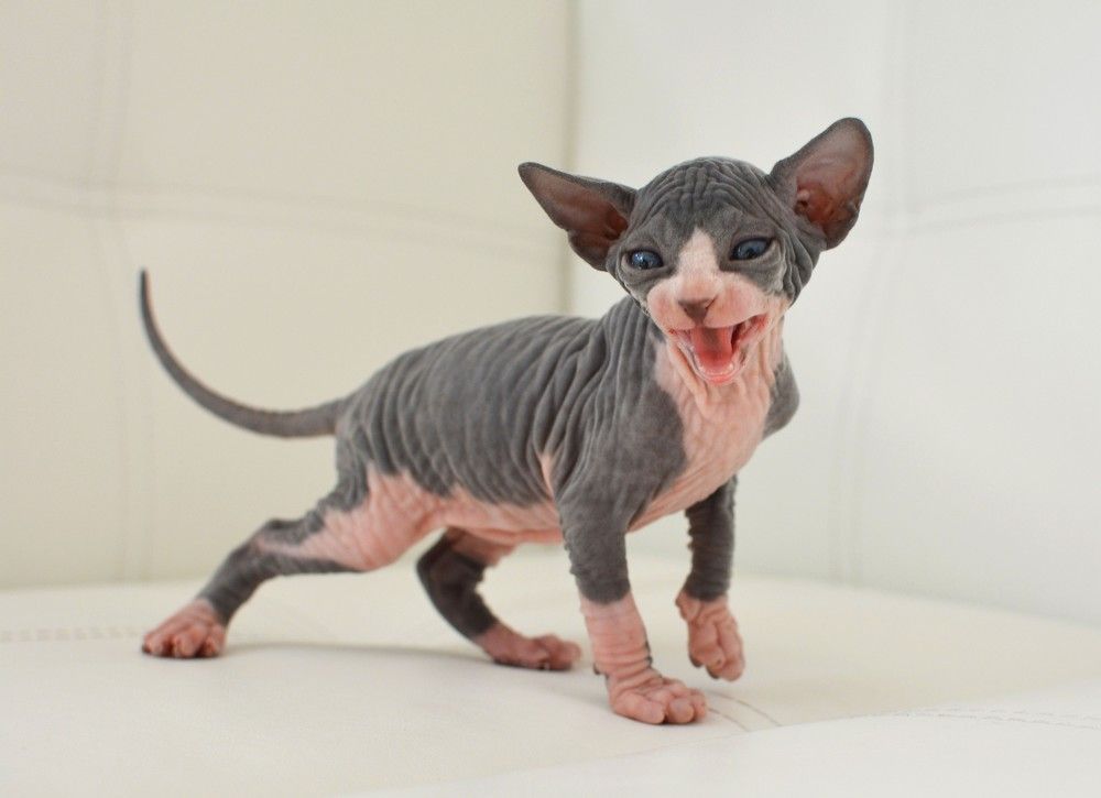 Photograph by Natalia Rassokhina