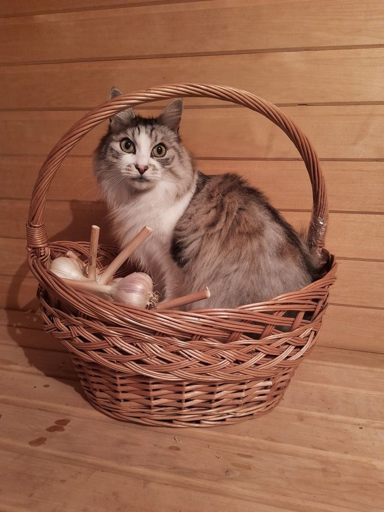 Photograph by Natalia Rassokhina