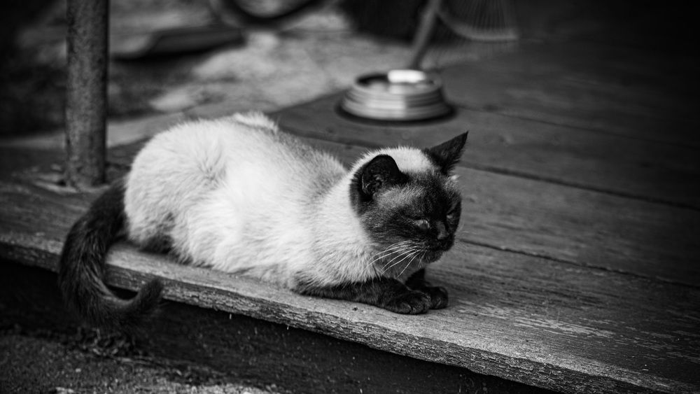 Photograph by Екатерина Алимова