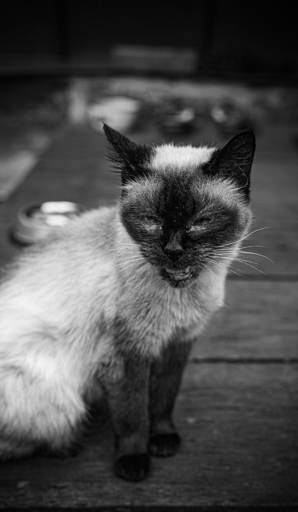 Photograph by Екатерина Алимова