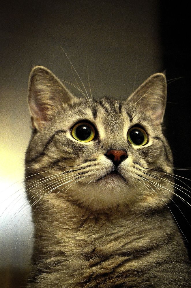 Photograph by Ирина Хламова