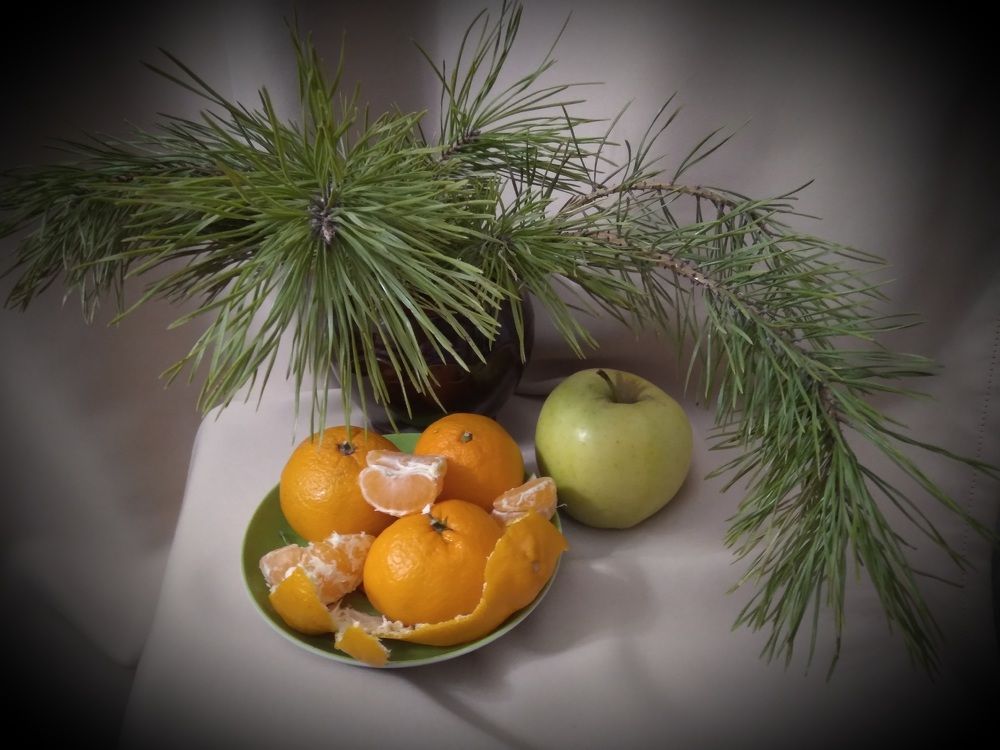 Photograph by Лида