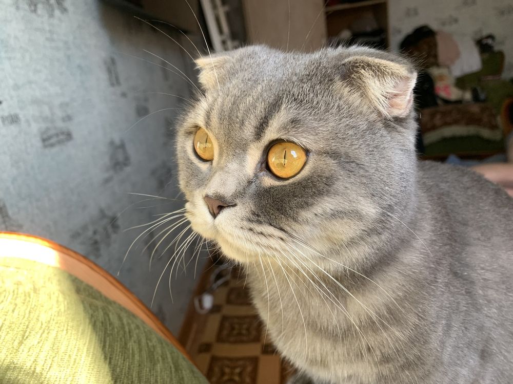 Photograph by Ольга