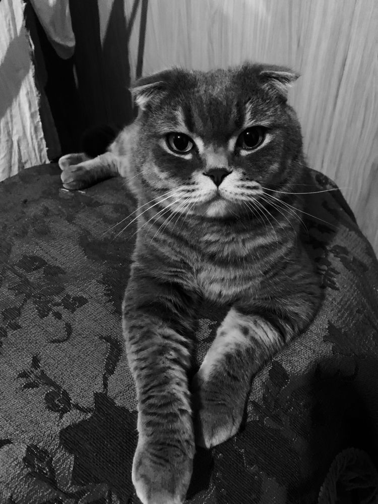 Photograph by Ольга