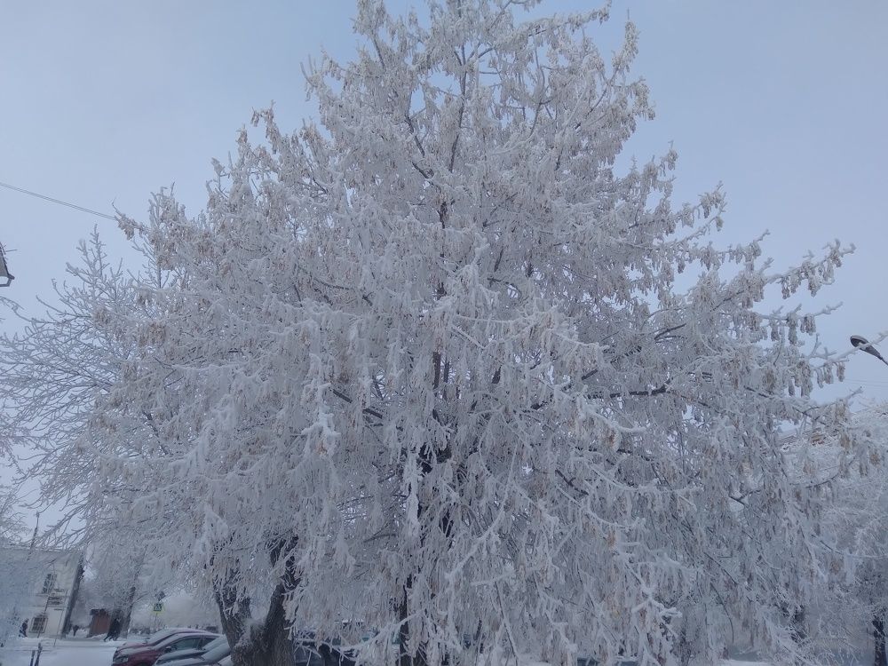 Photograph by Лида