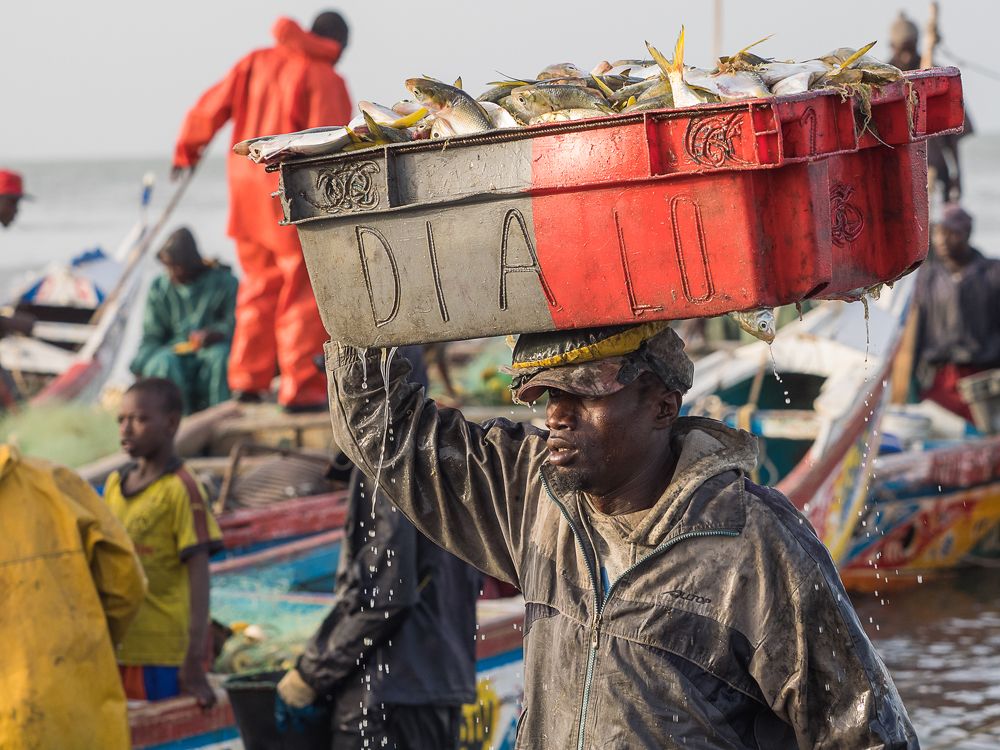 Photograph by Марина Маликова