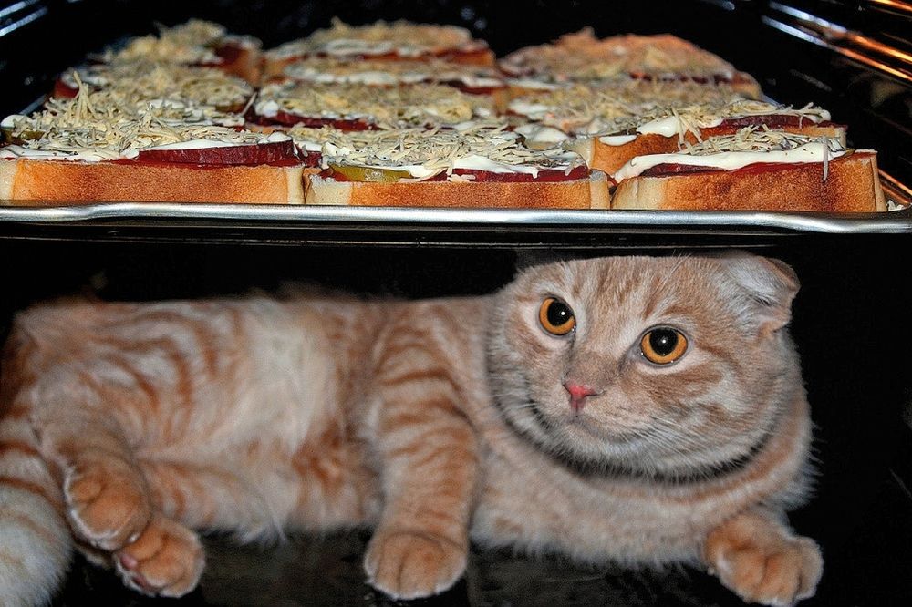 Photograph by Татьяна Бравая