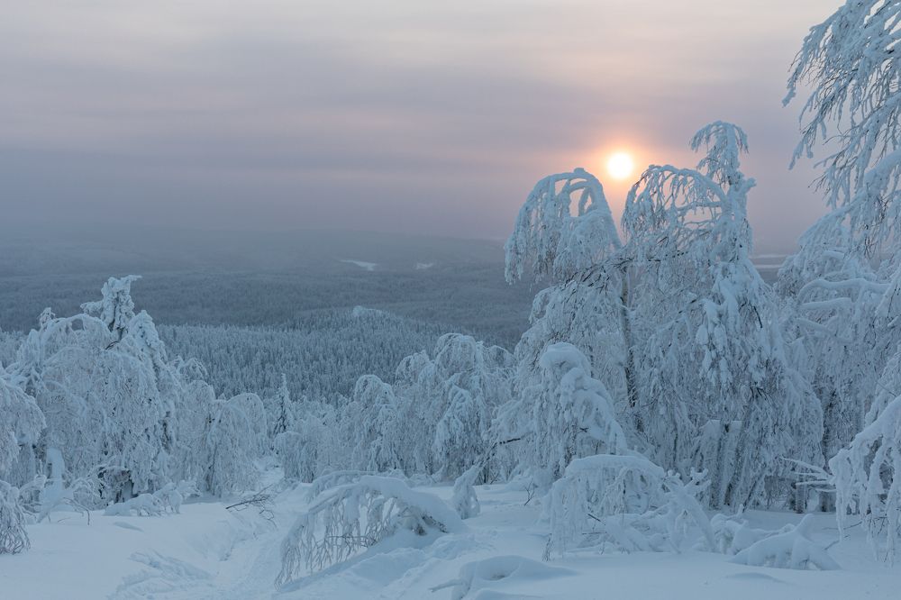 Photograph by Марина Маликова