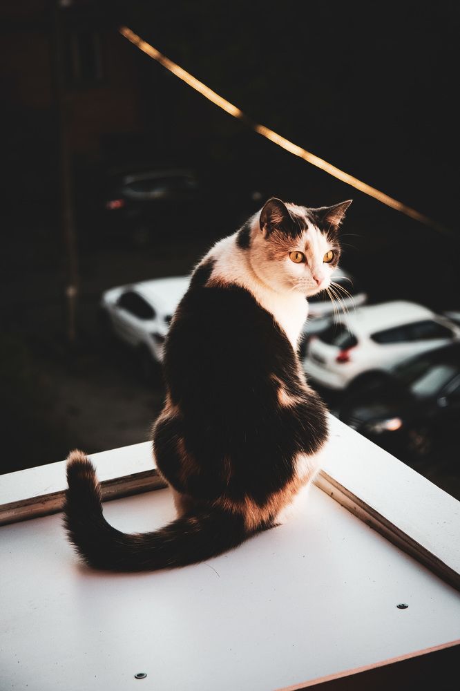 Photograph by Артем Порубаев