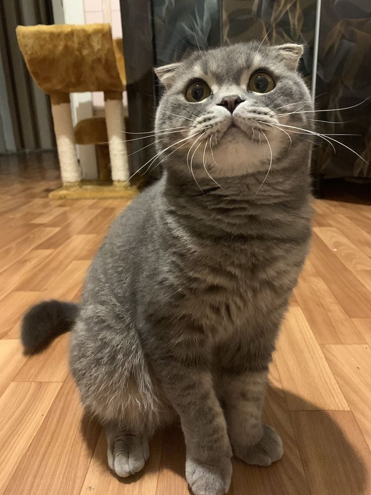 Photograph by Ольга