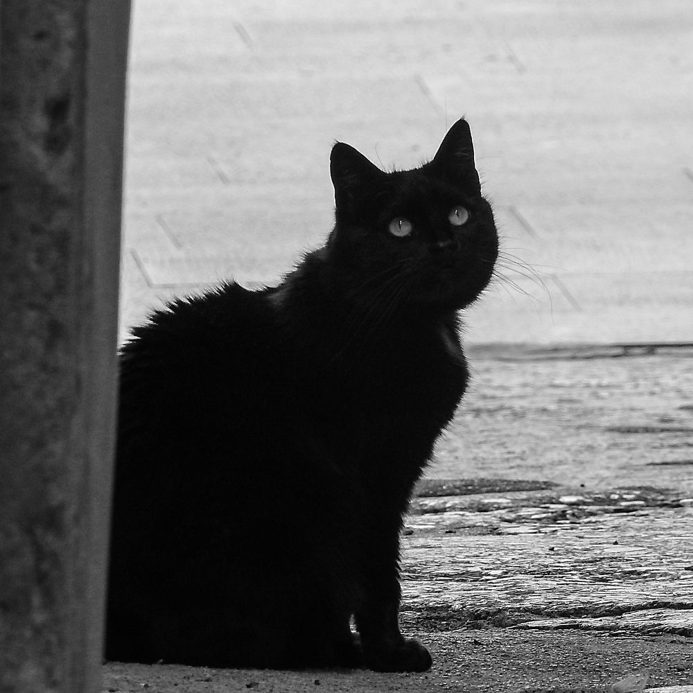 Photograph by Željko Jerneić