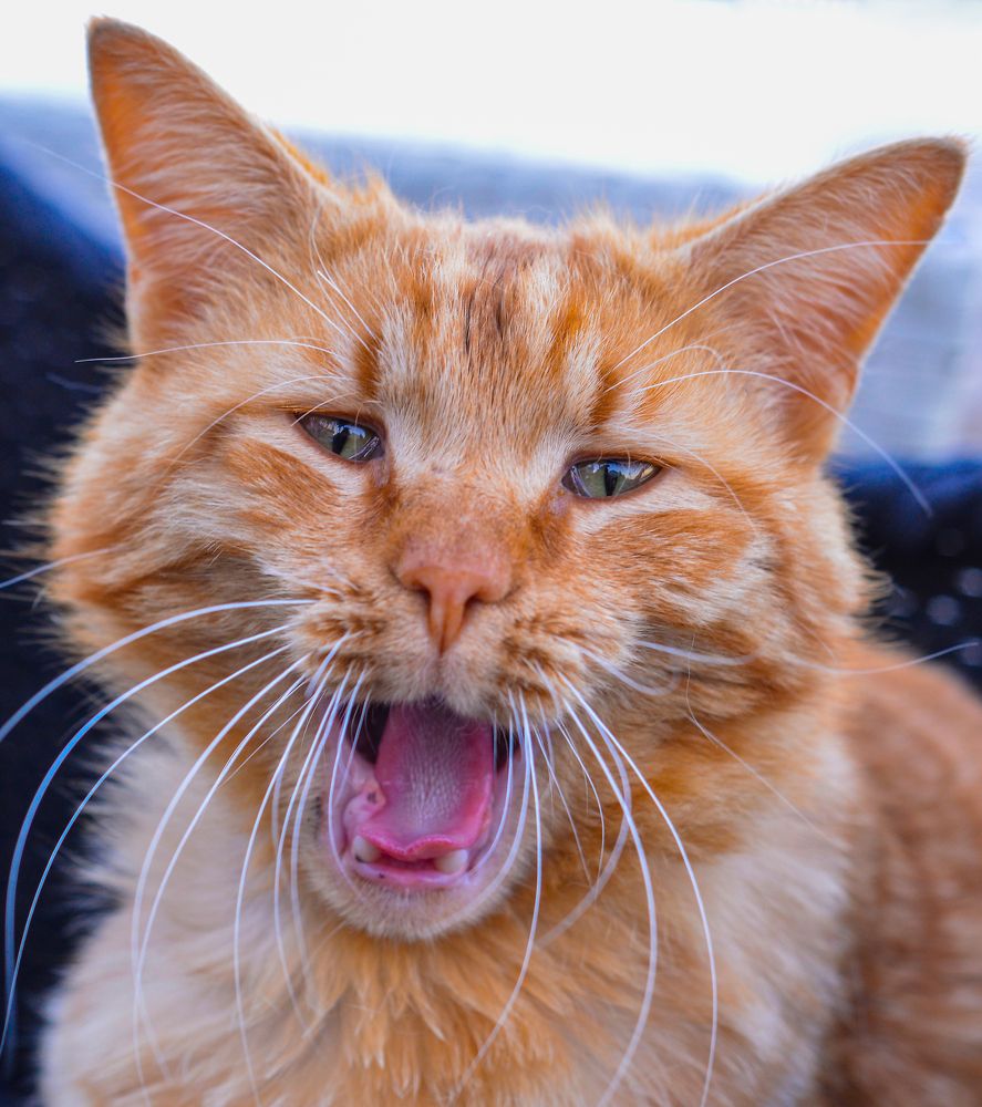 Photograph by Željko Jerneić