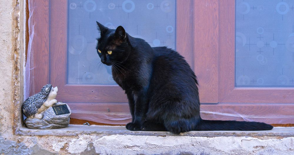 Photograph by Željko Jerneić