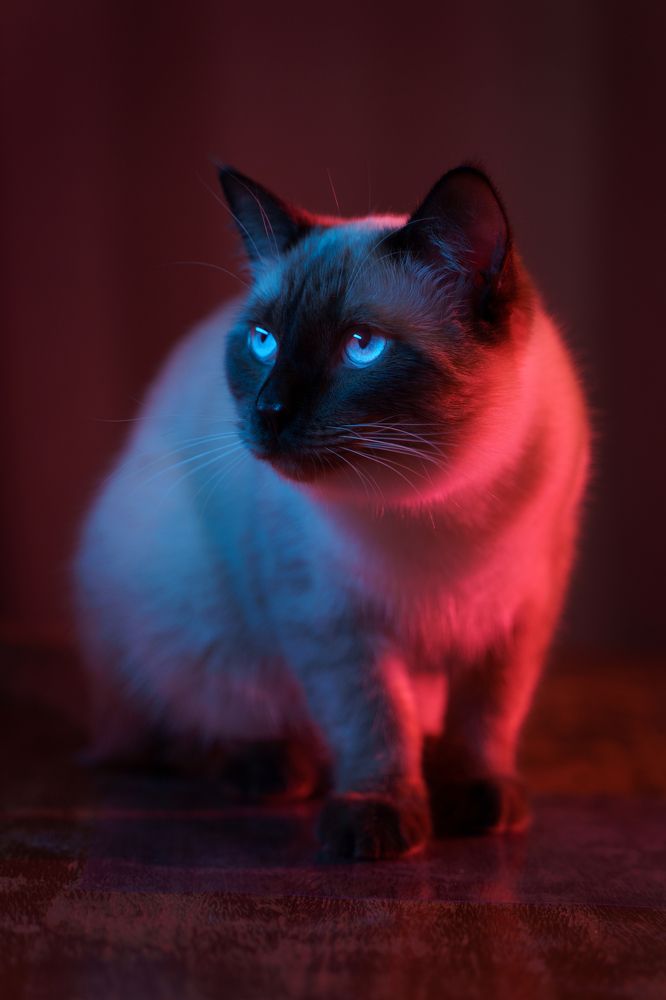 Photograph by Андрей Скрыльков