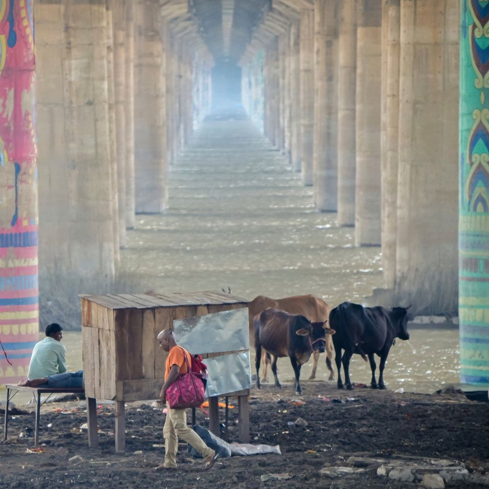 Фотография автора Aryan Singh