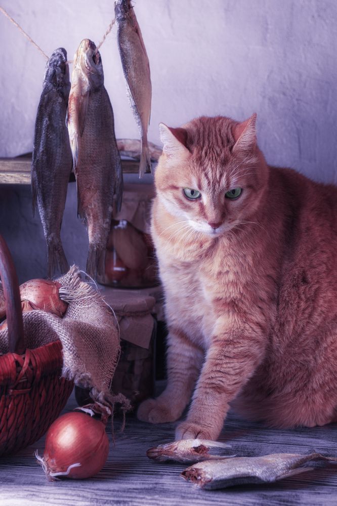 Photograph by Нина Сучкова