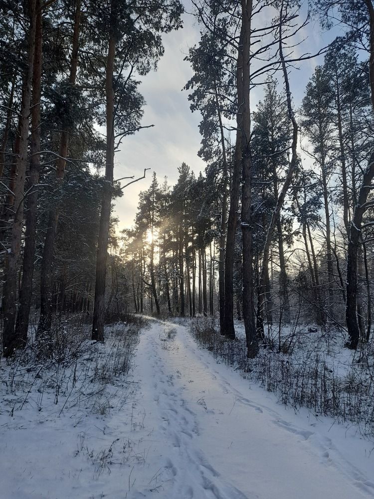 Photo #8649764