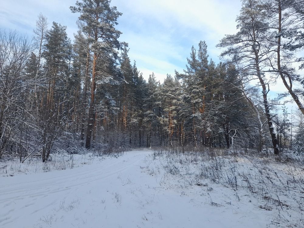 Photo #8649765