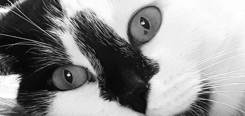 Photograph by Евгения Ульянова