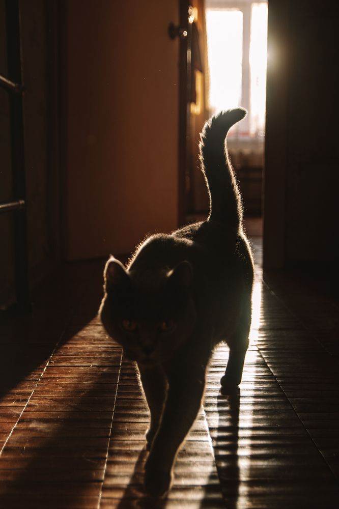 Photograph by Альбина Баташова