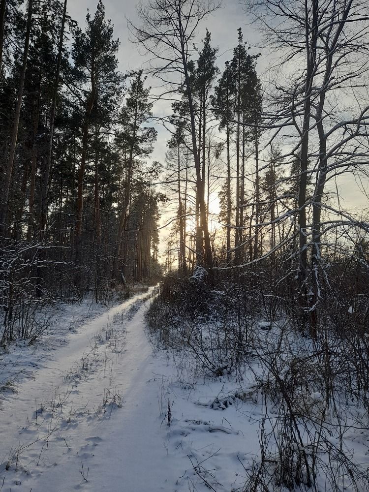 Photo #8649873