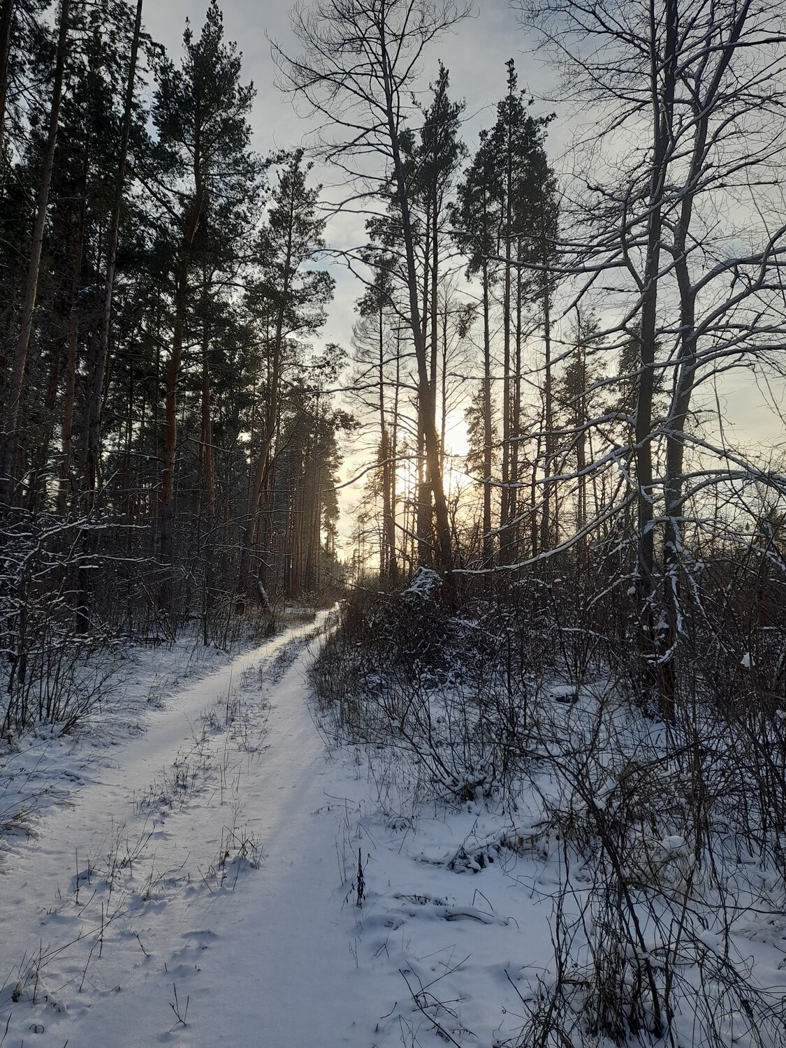 Photo #8649873