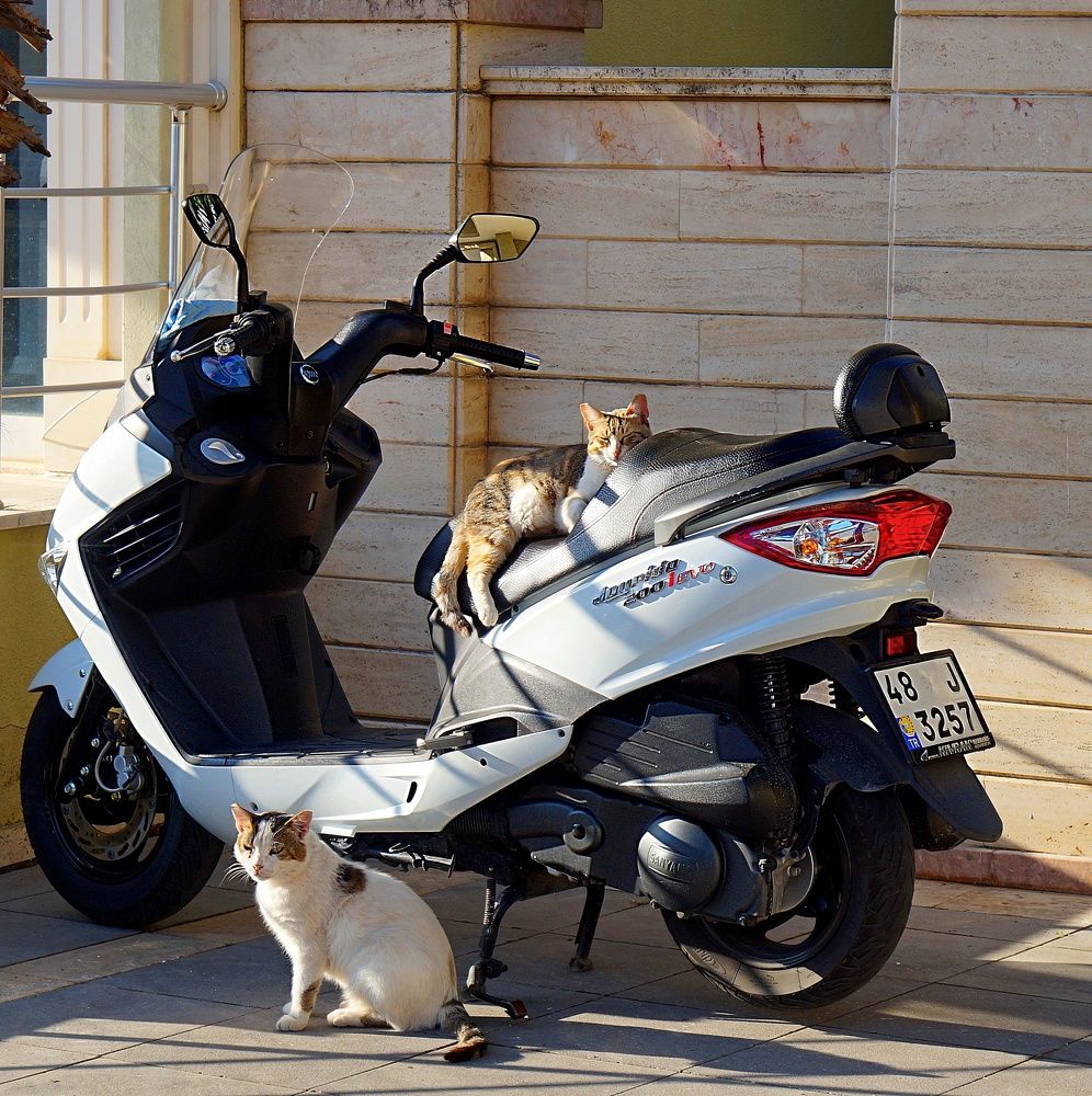 Photograph by Вадим Карпов