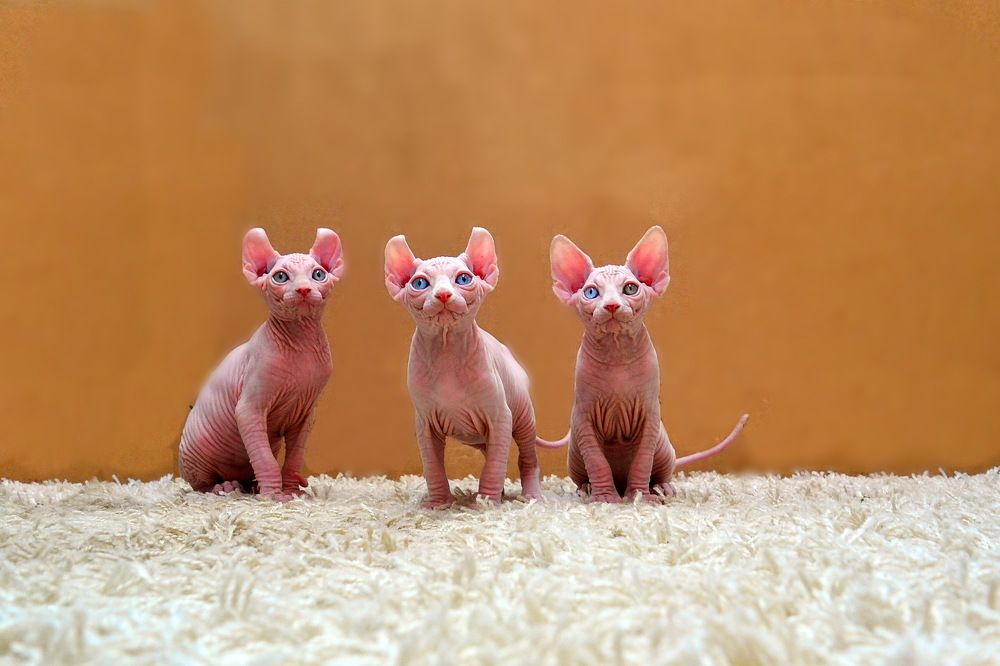 Photograph by Дмитрий Волков