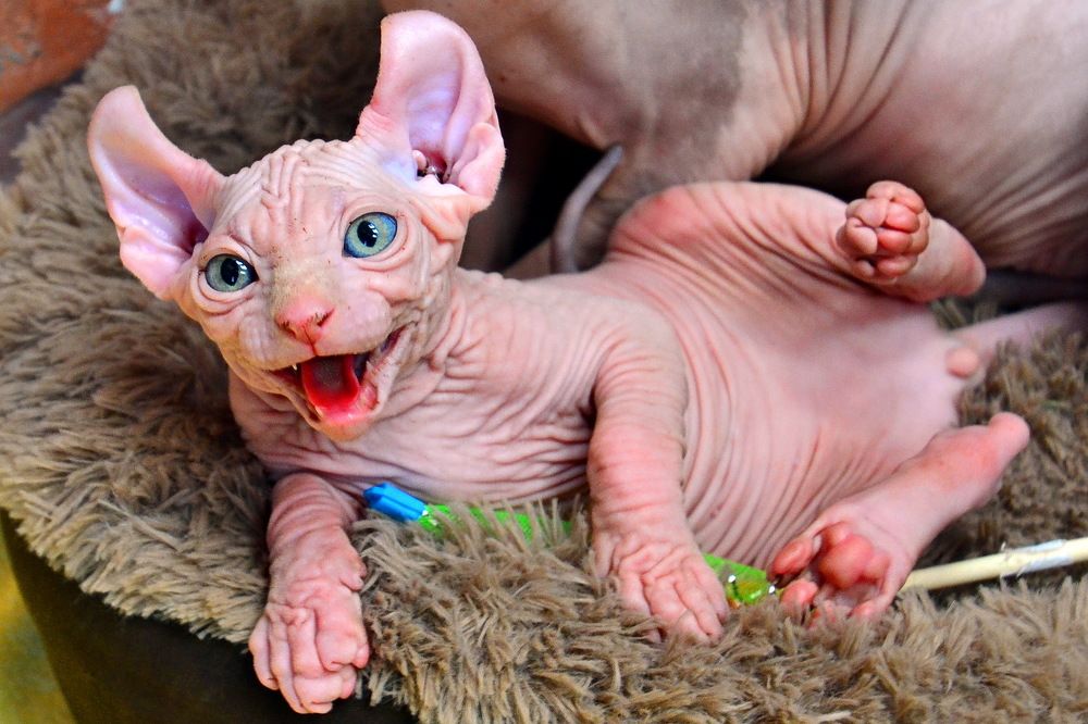 Photograph by Дмитрий Волков