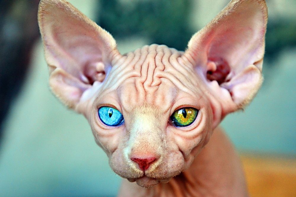 Photograph by Дмитрий Волков