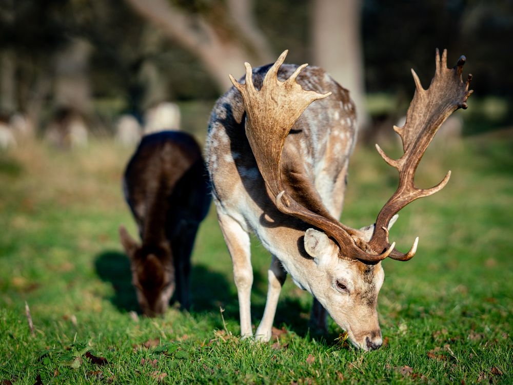 Photograph by Артур Каханский