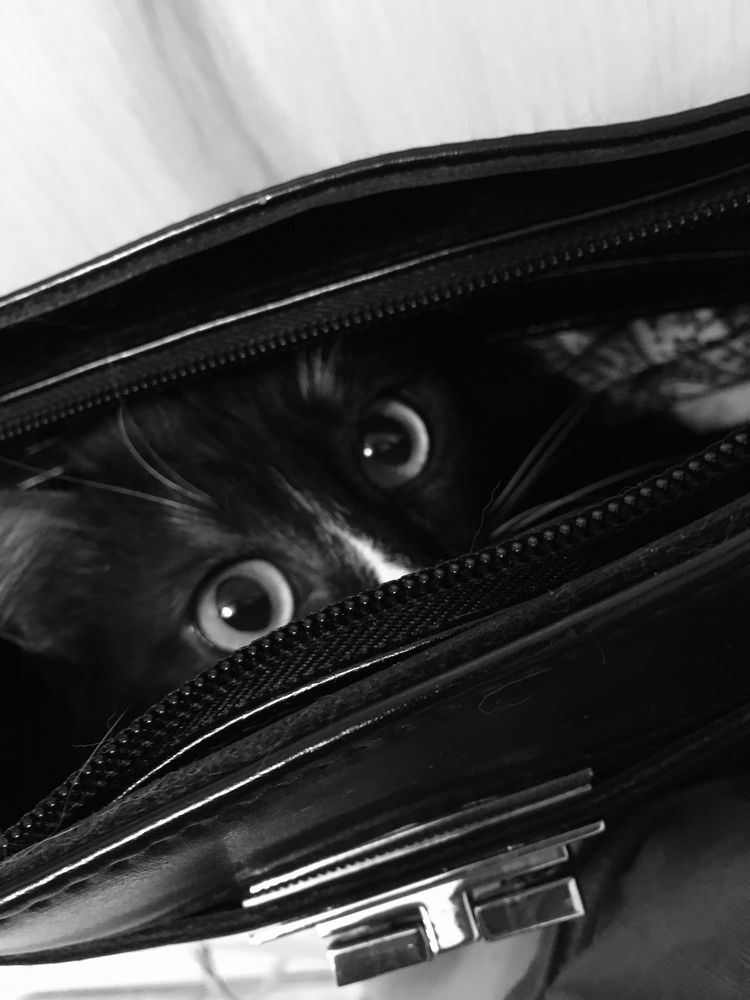 Photograph by Елена Макуха