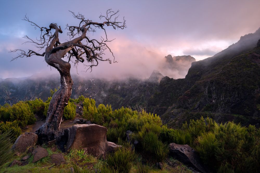 Photograph by Vasylius Vitalis