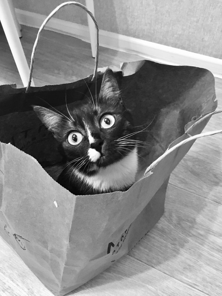 Photograph by Елена Макуха