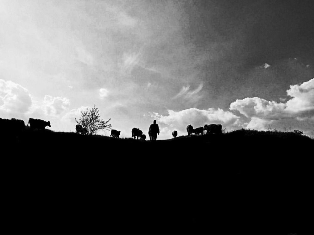 Photograph by Алина Харламова