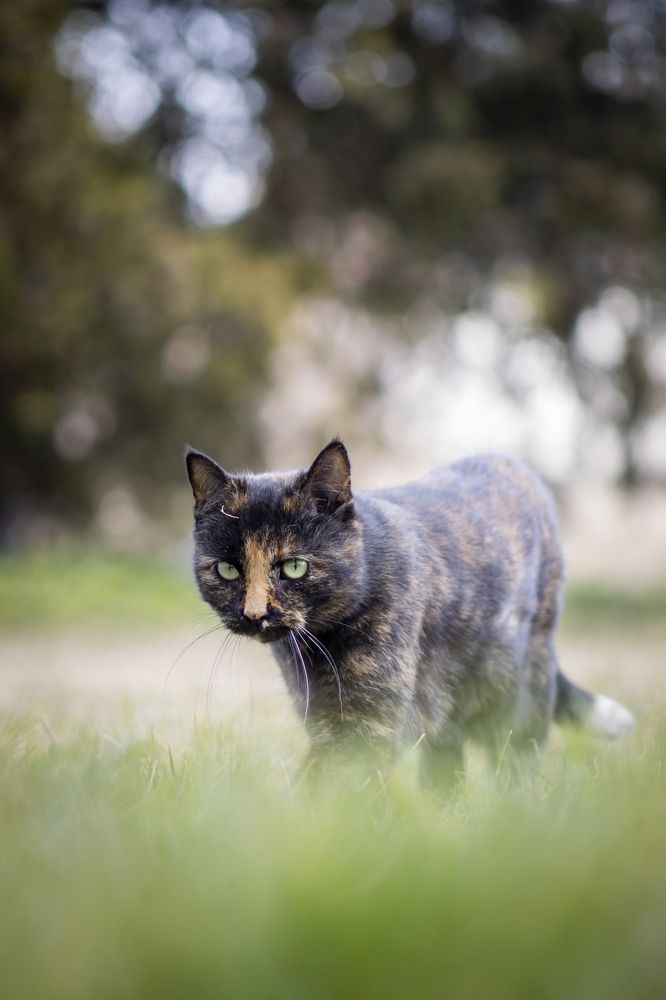 Photograph by Flora Jakab